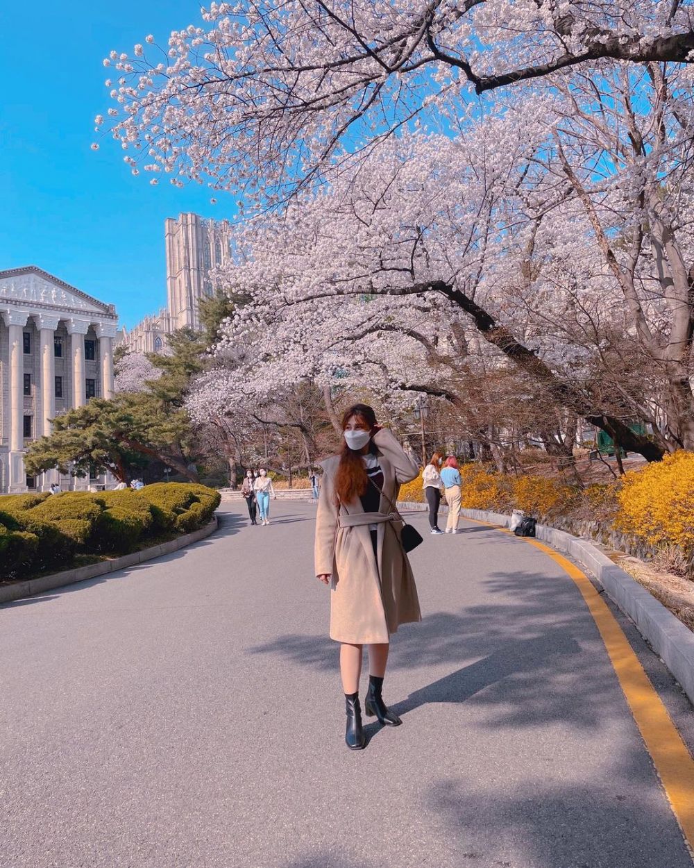 Bukan Wisata Alam, 5 Tempat di Seoul Ini Juga Memesona Saat Musim Semi