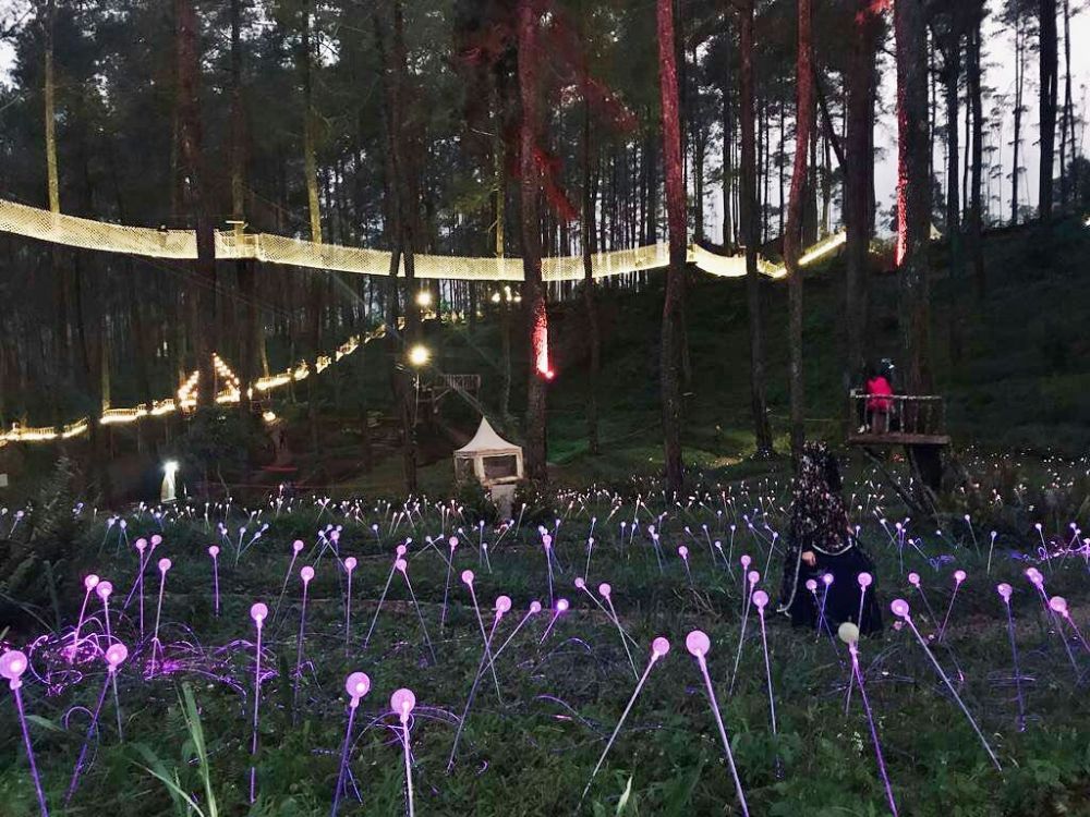 Seharian di Orchid Forest Cikole Lembang, Bisa Lakukan 8 Hal Seru Ini!