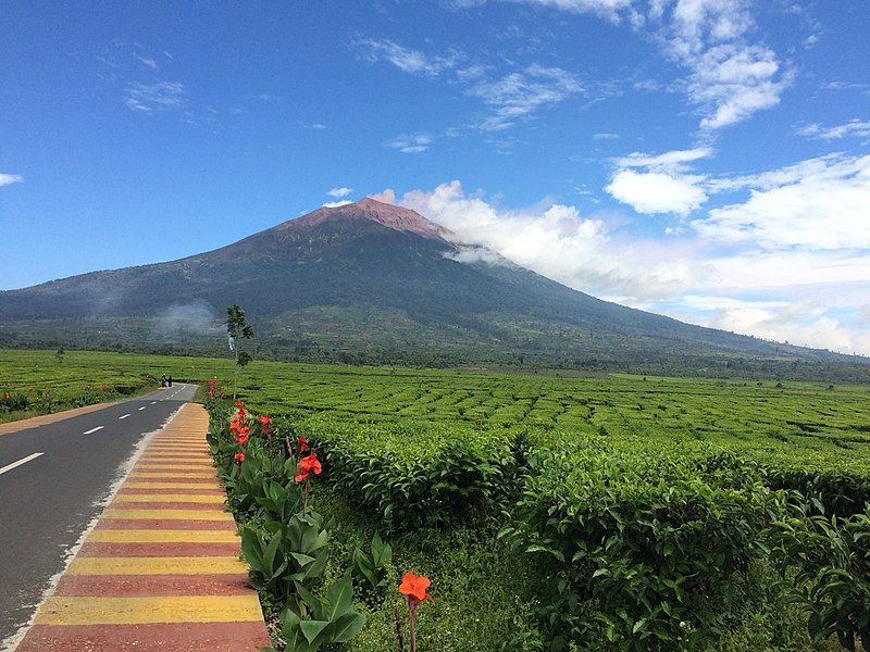 9 Fakta Gunung Kerinci Wajib Diketahui Sebelum Ke Sumatra