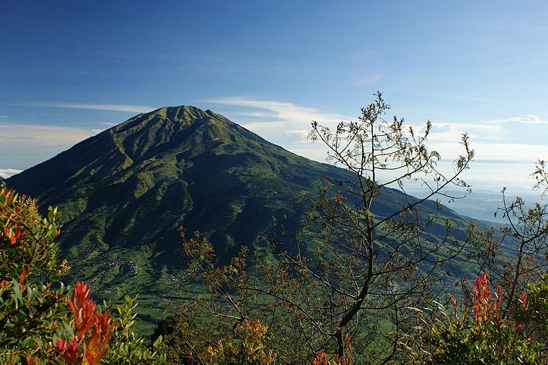 Info Pendakian Gunung Merbabu via Selo: Rute, Biaya, dan Tips