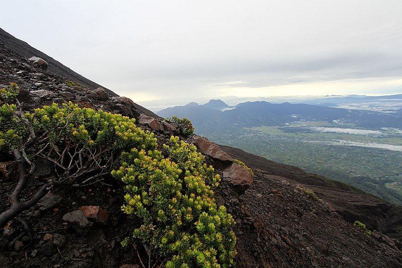 9 Fakta Gunung Kerinci Wajib Diketahui Sebelum Ke Sumatra