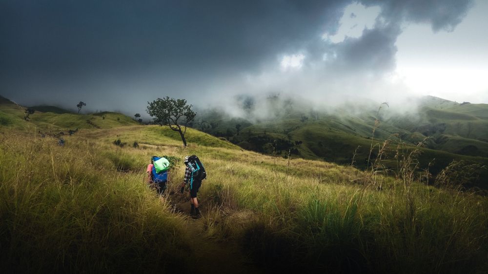 Info Pendakian Gunung Merbabu via Selo: Rute, Biaya, dan Tips