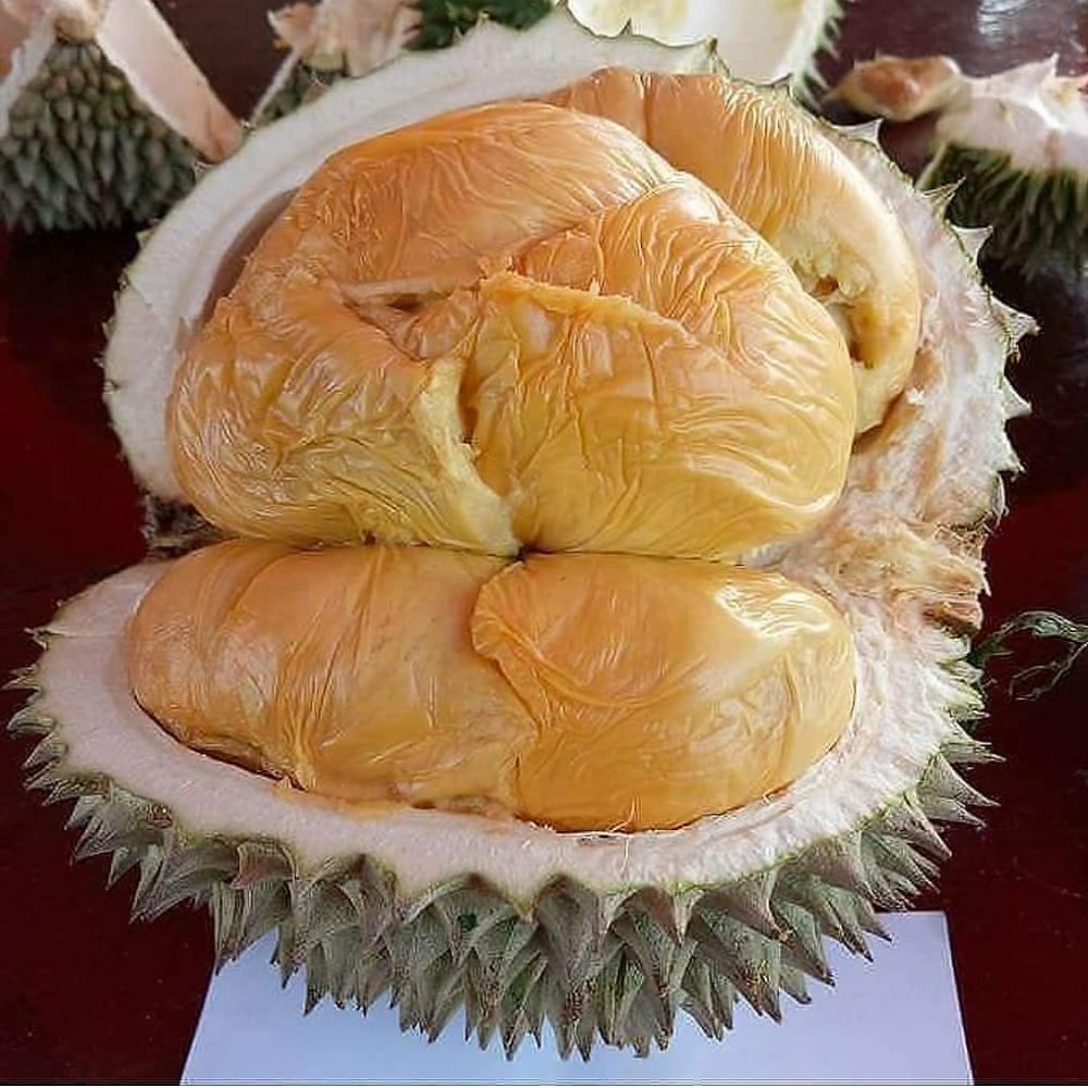 Resep Bubur Kacang Hijau Durian Aromanya Khas