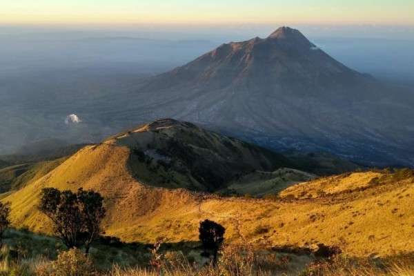 Info Pendakian Gunung Merbabu Via Selo