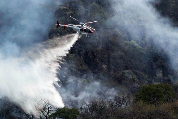 Kebakaran Di Tepoztlán Hanguskan Ratusan Hektar Hutan