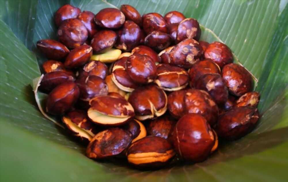 Resep Semur Jengkol yang Bercita Rasa Pedas - IDNTimes.com