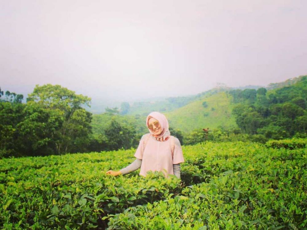 Video viral di kebun