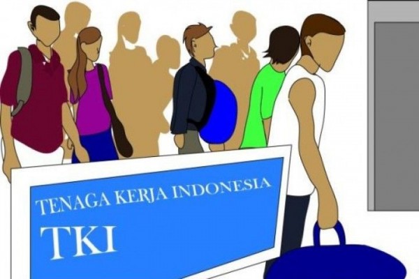 BP2MI Beberkan Temuan Sejumlah Buruh Migran NTT Kehilangan Ginjal