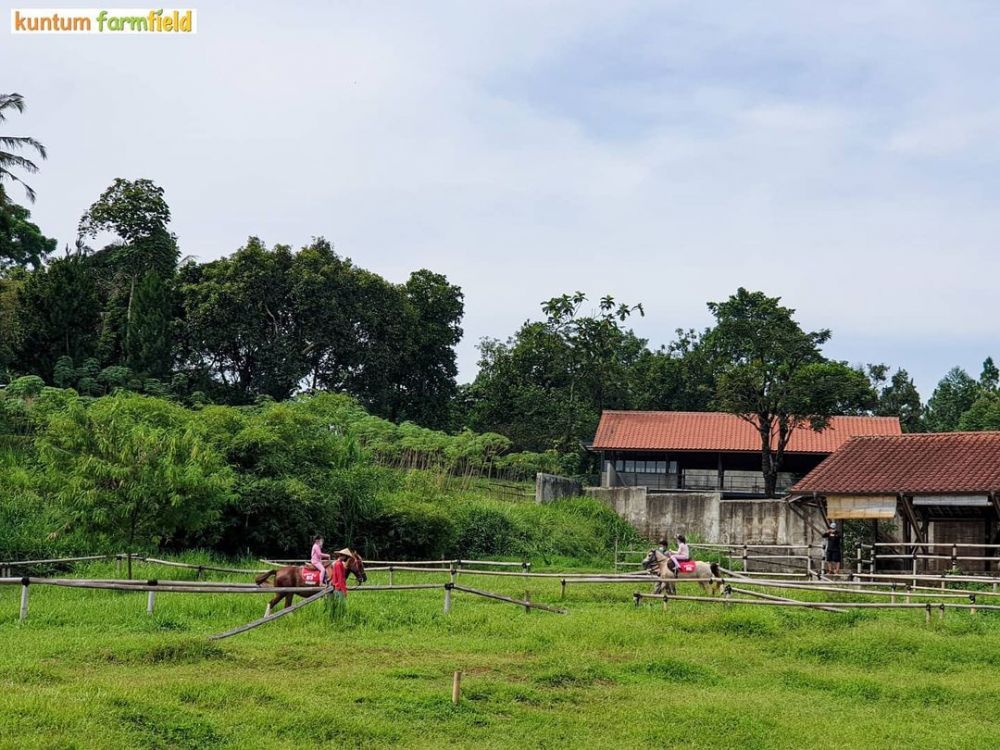 5 Destinasi Agrowisata di Bogor ini Cocok Obati Rindu Kampung Halaman 