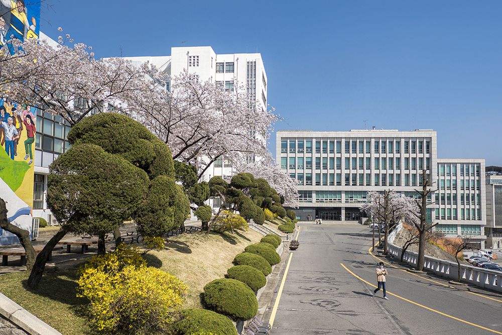 Universitas Terbaik Korea Selatan