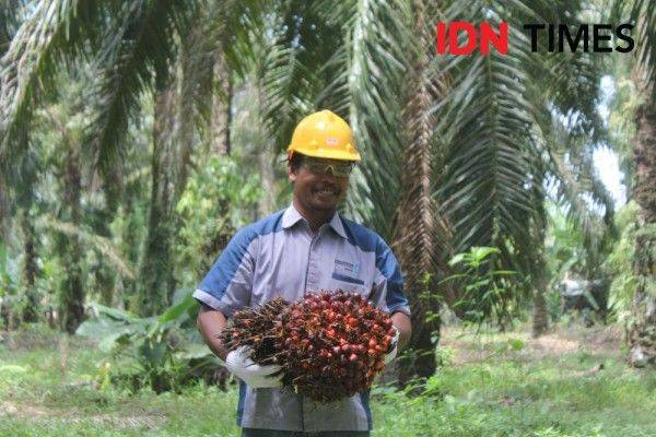 Dukung Usaha Sawit Swadaya Berkelanjutan Lewat Perayaan Hari Temu Tani