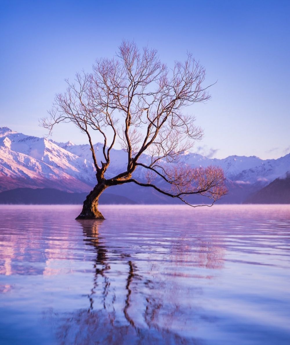 9 Pesona Danau Wanaka yang Disebut Tempat Terindah di Selandia Baru  