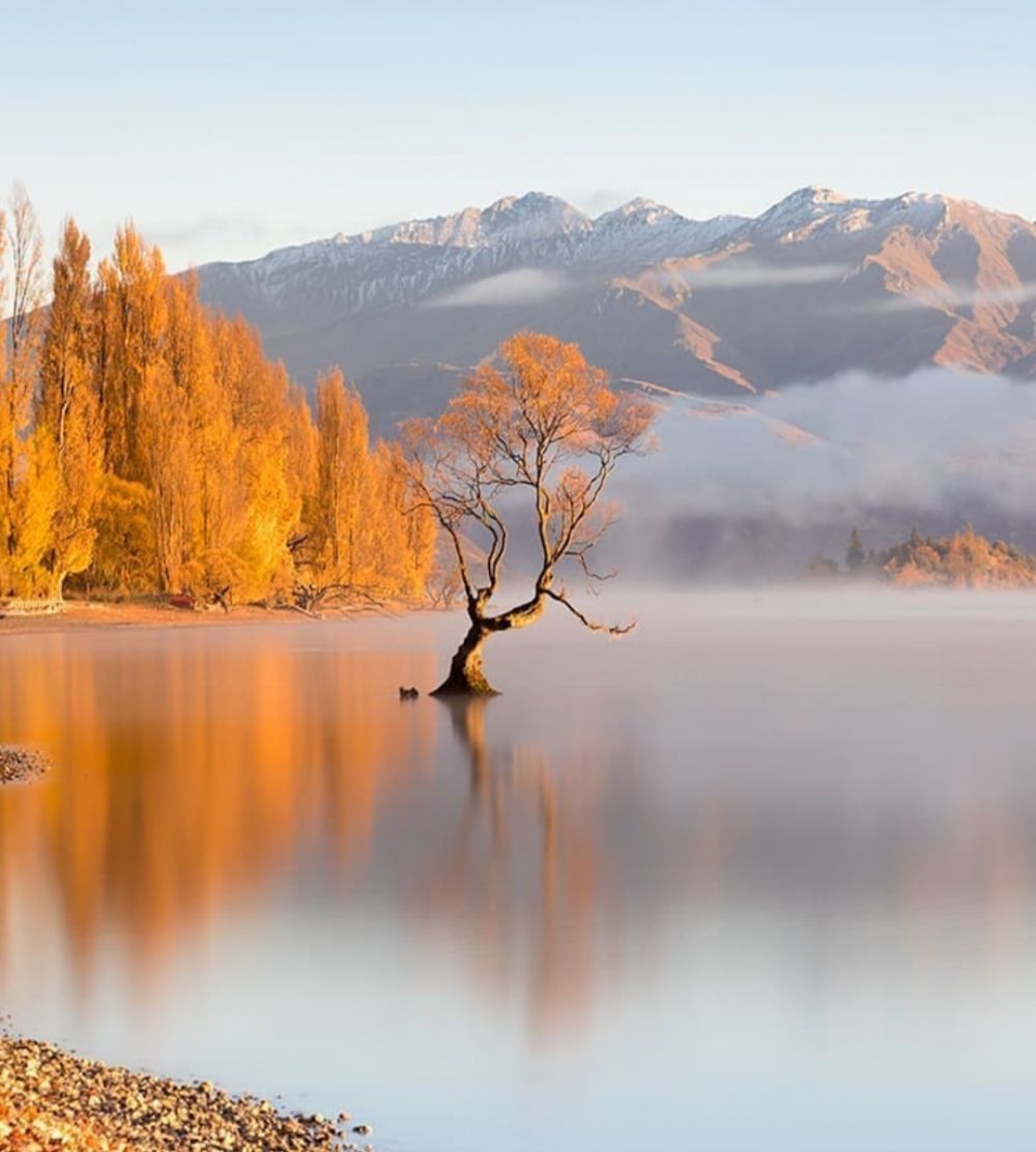 9 Pesona Danau Wanaka yang Disebut Tempat Terindah di Selandia Baru  