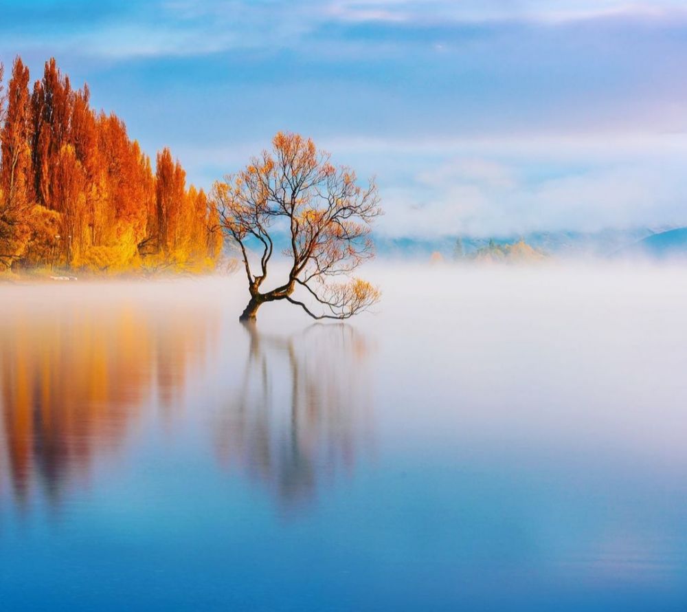 9 Pesona Danau Wanaka yang Disebut Tempat Terindah di Selandia Baru  