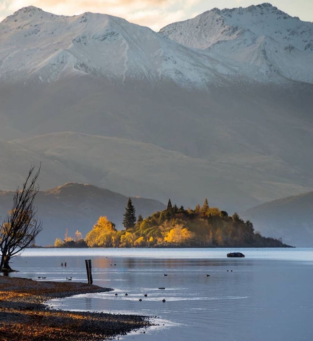 9 Pesona Danau Wanaka yang Disebut Tempat Terindah di Selandia Baru  