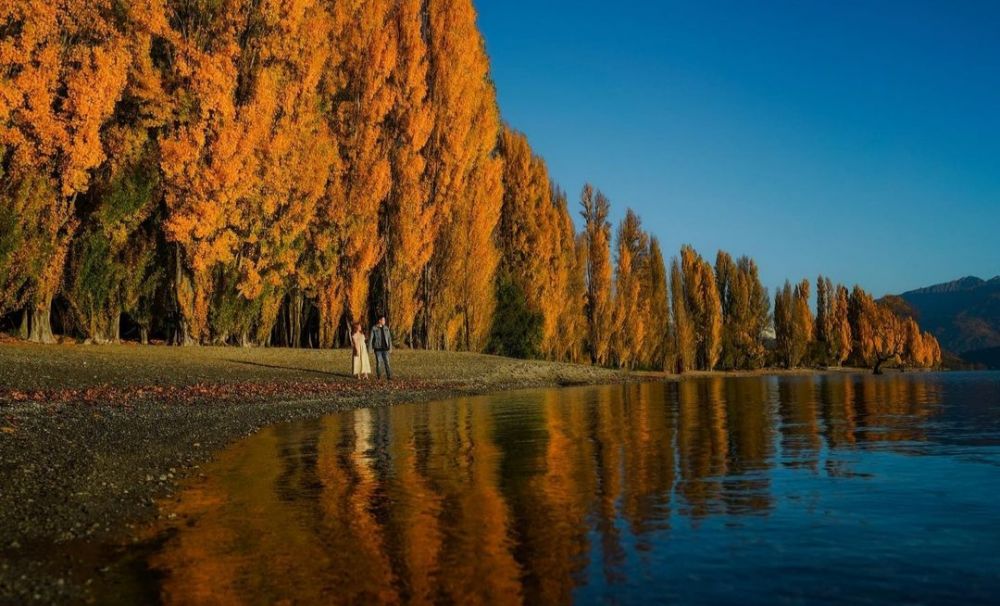 9 Pesona Danau Wanaka yang Disebut Tempat Terindah di Selandia Baru  