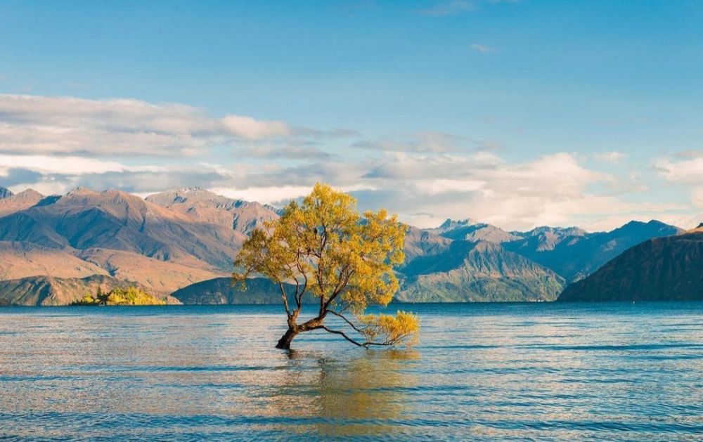 9 Pesona Danau Wanaka yang Disebut Tempat Terindah di Selandia Baru  