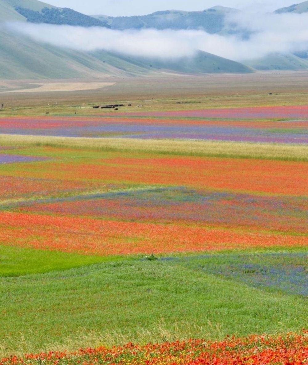 9 Pesona Castelluccio di Norcia, Destinasi Wisata yang Bikin Takjub