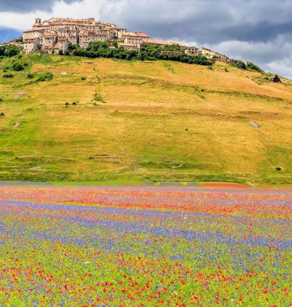 9 Pesona Castelluccio di Norcia, Destinasi Wisata yang Bikin Takjub