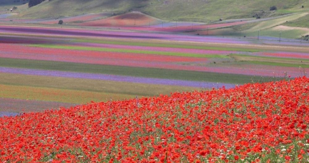 9 Pesona Castelluccio di Norcia, Destinasi Wisata yang Bikin Takjub