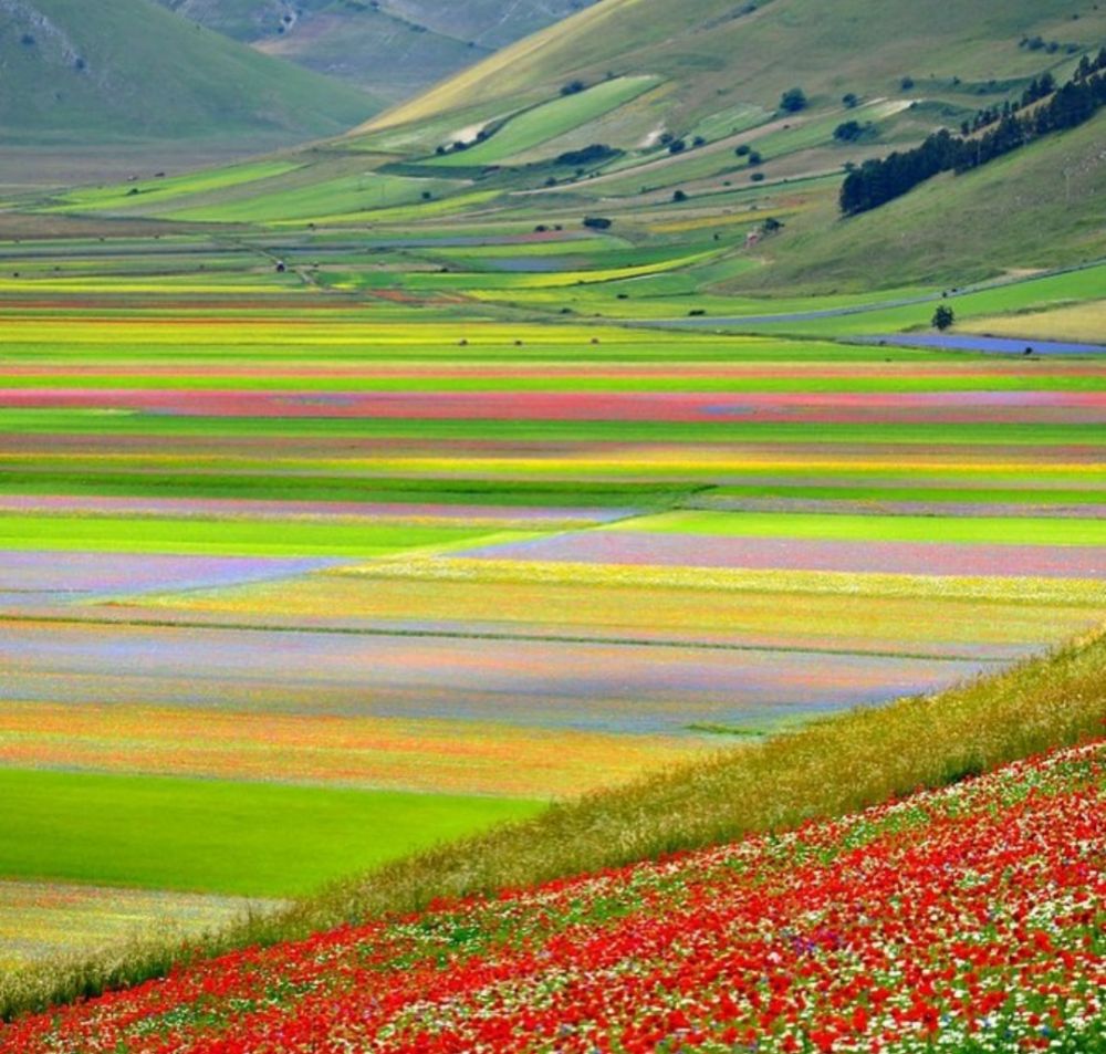 9 Pesona Castelluccio di Norcia, Destinasi Wisata yang Bikin Takjub