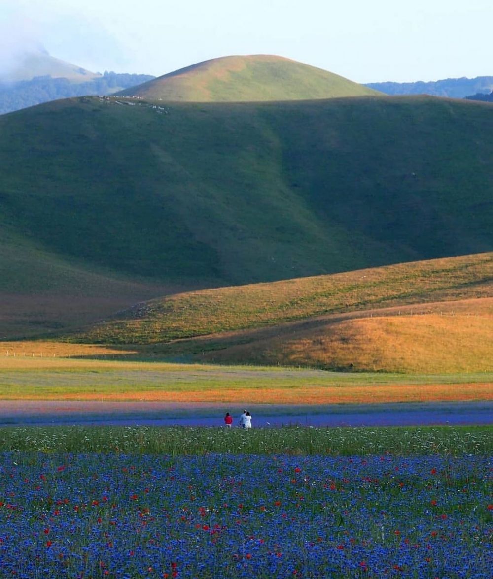 9 Pesona Castelluccio di Norcia, Destinasi Wisata yang Bikin Takjub