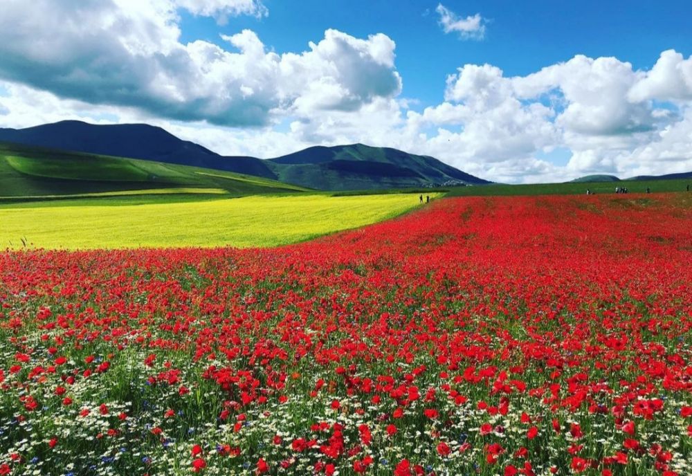 9 Pesona Castelluccio di Norcia, Destinasi Wisata yang Bikin Takjub