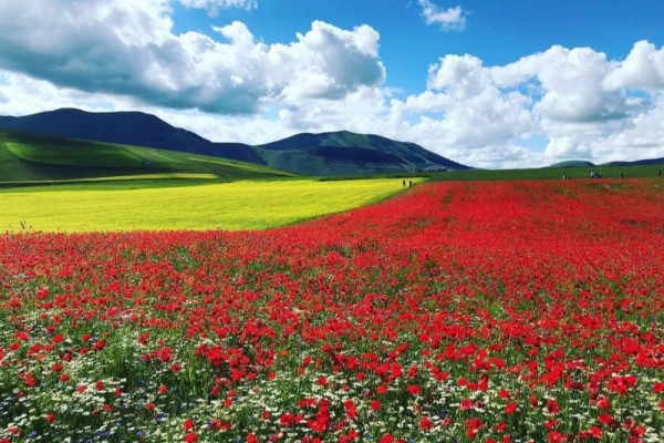 9 Pesona Castelluccio di Norcia, Destinasi Wisata yang Bikin Takjub