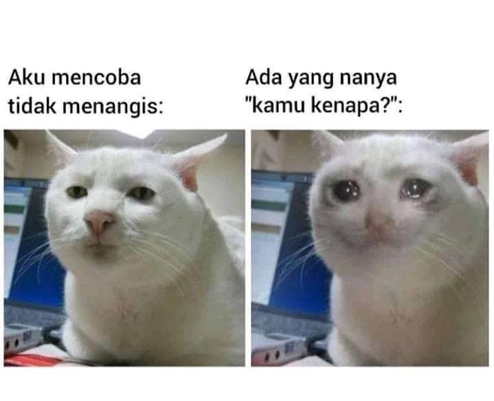 10 Meme Ini Relate Banget dengan Kehidupan, Kocak Abis!