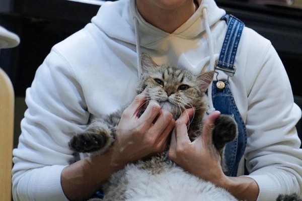 10 Potret Interaksi Manis Dikta dan Jimbon, Kucing Kesayangannya