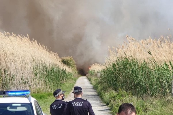 Kebakaran Hutan di Danau Torrevieja, Spanyol