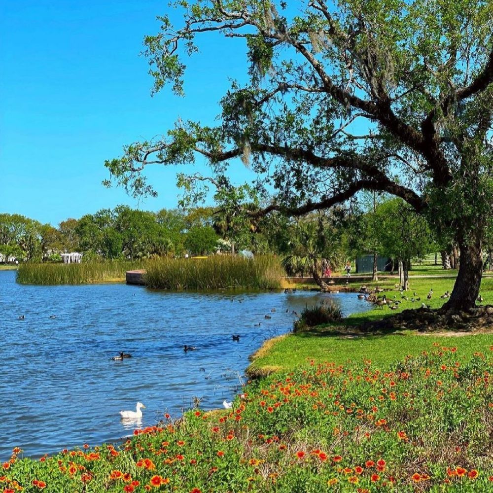 8 Tempat Wisata di New Orleans, Ada Museum Perang Dunia!