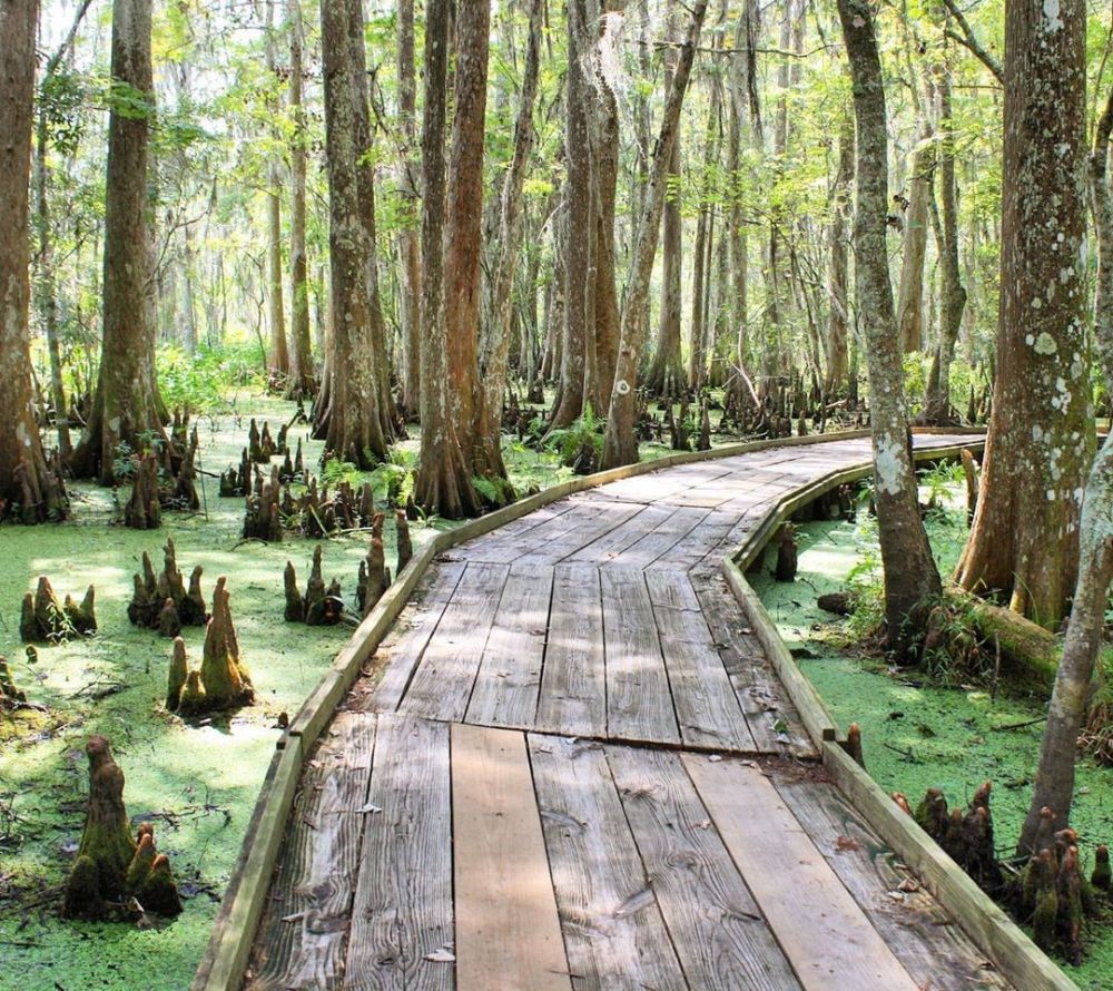 8 Tempat Wisata di New Orleans, Ada Museum Perang Dunia!