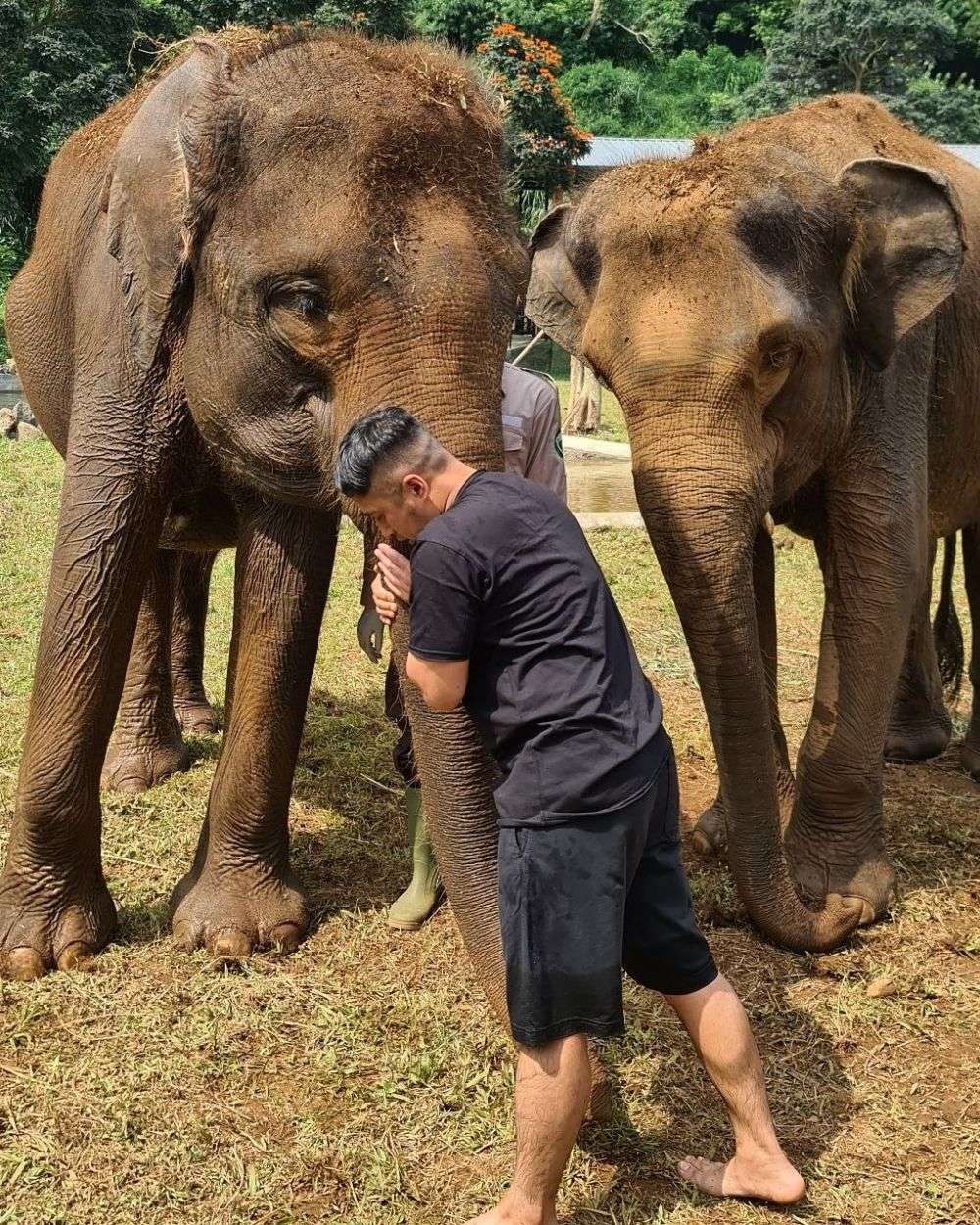 10 Potret Seru Irfan Hakim Bareng Badak Dan Gajah