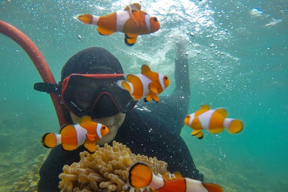 Pulau Tegal Mas Lampung, Pemandangan Bawah Laut Kece Abis!