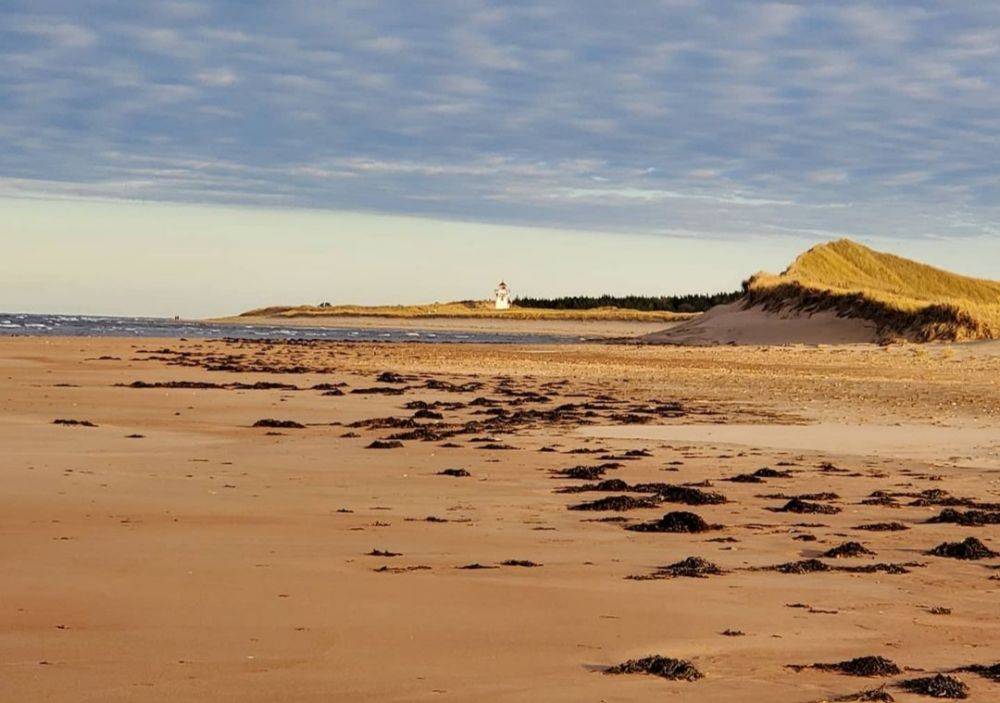 7 most beautiful beaches in Canada, makes you want to stay away from home! 