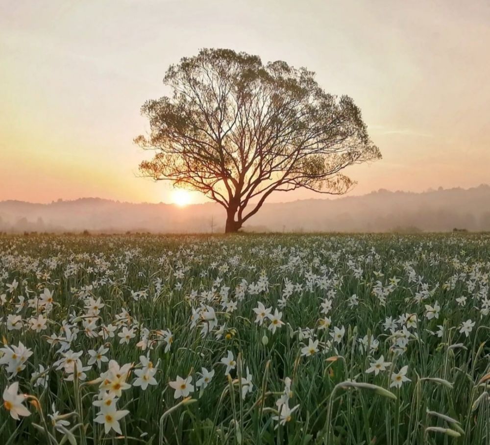 5 Tempat Paling Romantis di Ukraina, Bikin Hubungan Makin Langgeng!