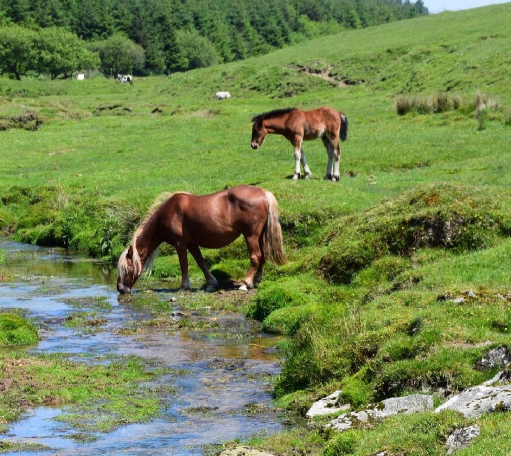 7 Tempat Wisata yang Terpopuler di Cornwall-Inggris, Destinasi Seru!