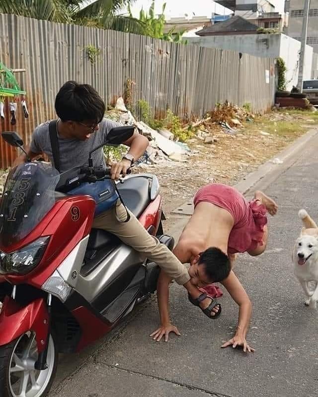 10 Potret Benda Dikira Hewan Bikin Kucek Mata, Harus Lihat dua Kali