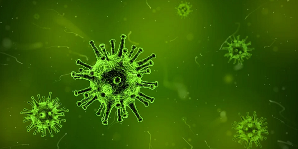 DKPP Kabupaten Tangerang Siapkan Langkah Cegah Penyebaran Flu Burung