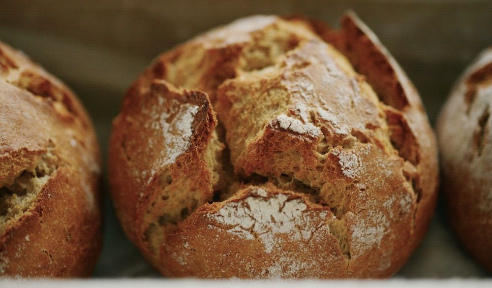 5 Jenis Roti yang Cocok untuk Diet