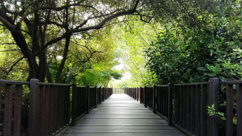 Taman Komodo Surabaya Dibangun 2 Tahun Lagi
