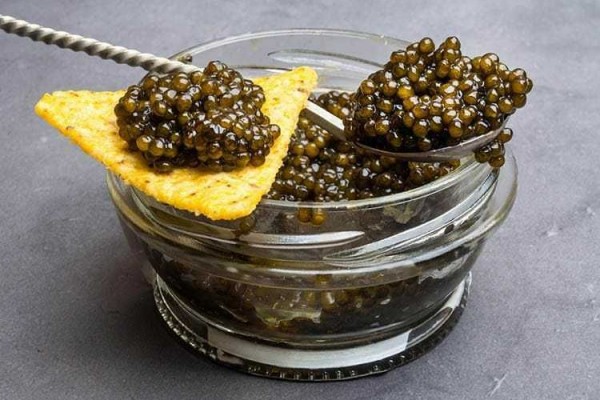 9 Jenis Caviar yang Populer di Dunia, Beragam Tekstur dan Warnanya