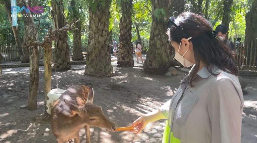Sewa Kebun Binatang di Bali, 9 Momen Nagita Slavina Ngidam Lihat Gajah