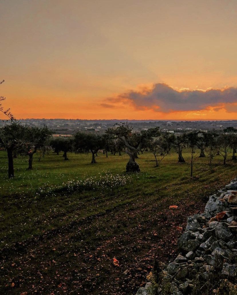 10 Potret Valle d'Itria, Lembah di Italia yang Penuh dengan Kota Indah