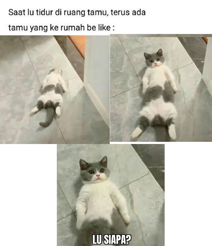 26 Meme Bangun Tidur Lucu