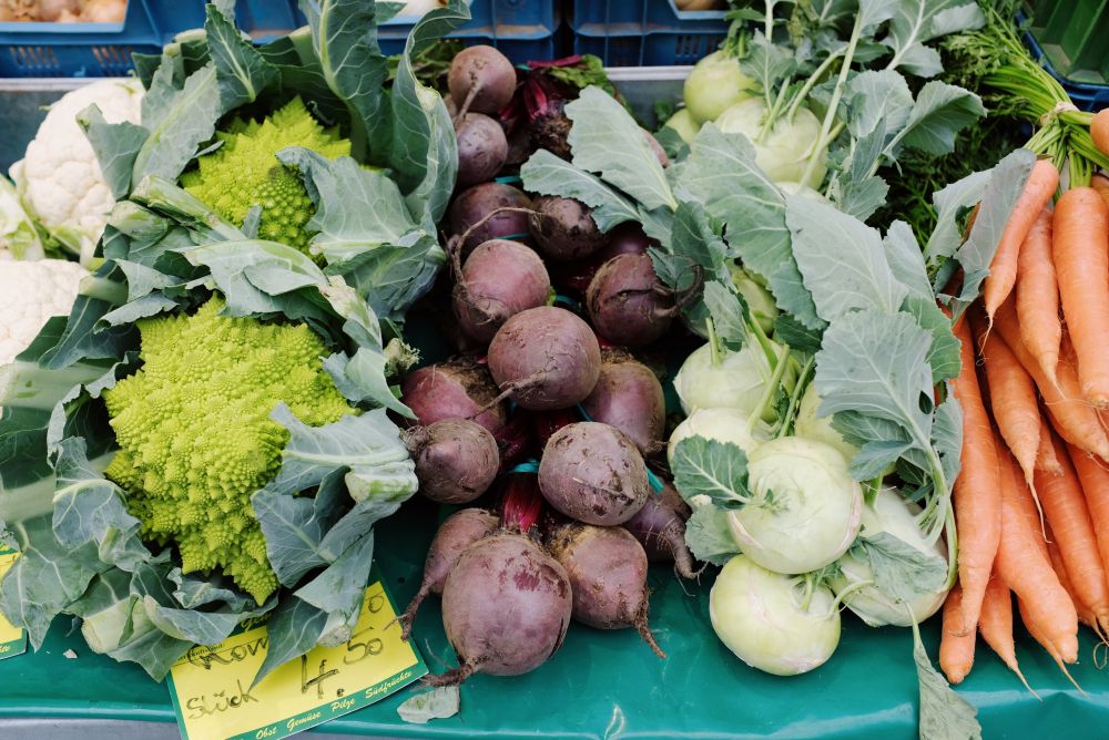 5 Makanan Hewan Terbaik untuk Kelinci, Bergizi dan Bikin Sehat