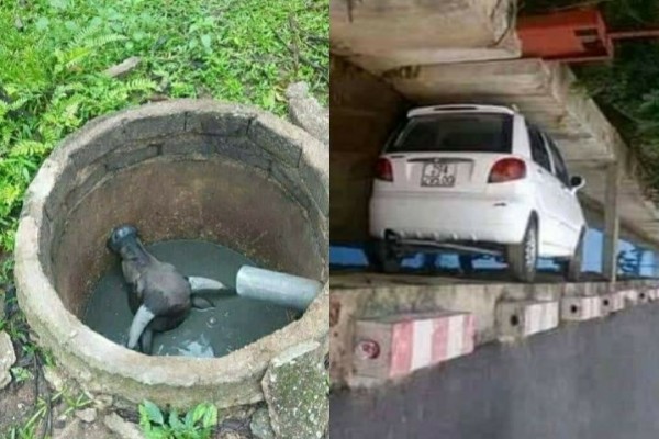 10 Potret Terjebak di Tempat yang Gak Seharusnya, Bikin Mikir Keras!