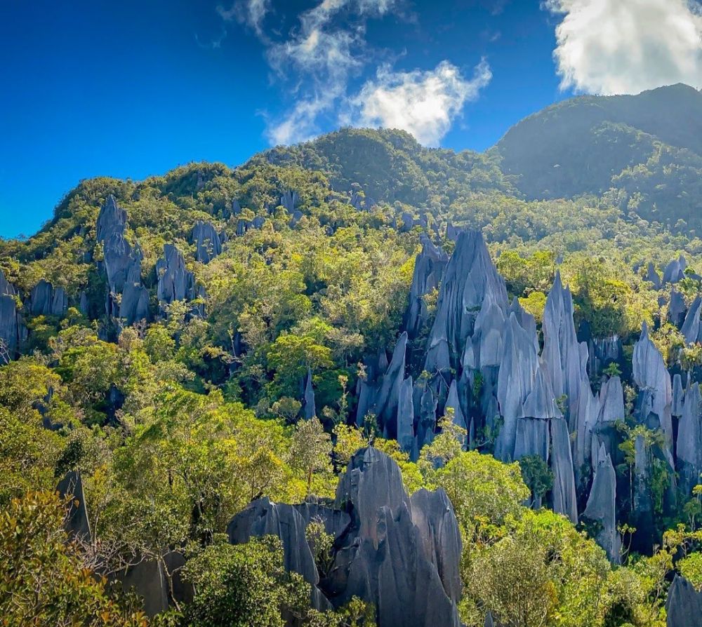 5 Situs Warisan Dunia UNESCO di Malaysia, Panoramanya Epic!