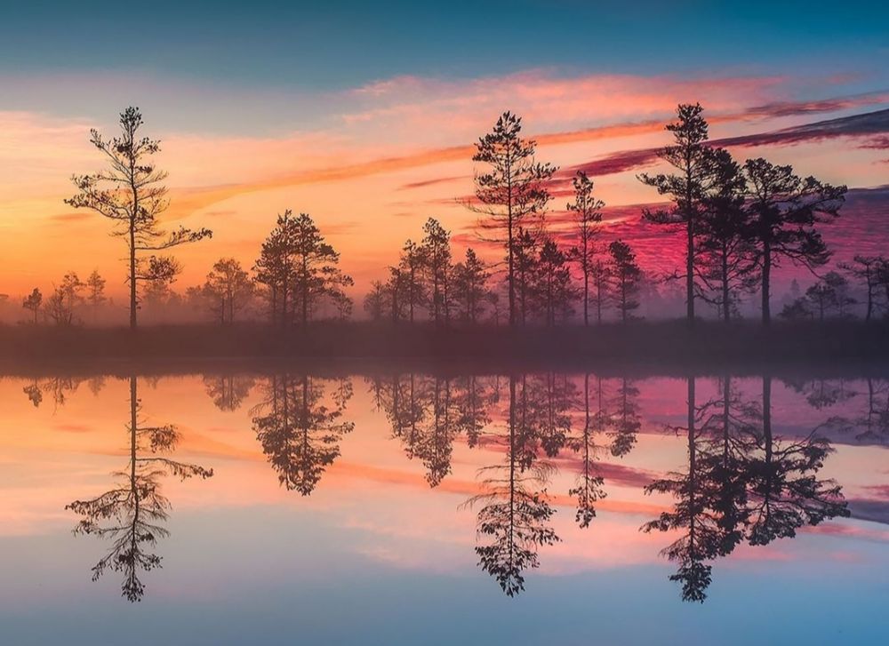 Taman Nasional Terbaik di Estonia